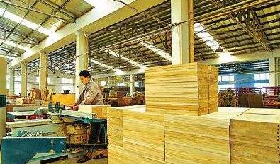 全國木材市場行情回暖，天津地區加工企業訂單爆滿迎來生產高峰